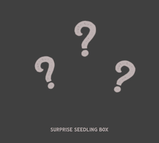Surprise seedling box. Get up to 175% of the value you pay!