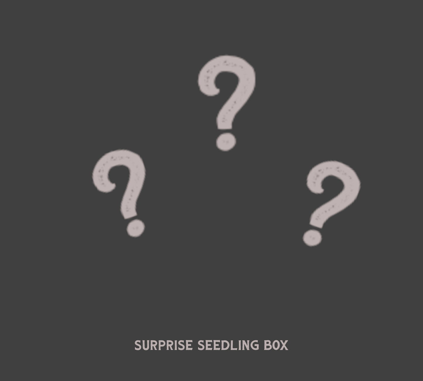 Surprise seedling box. Get up to 50% extra value!