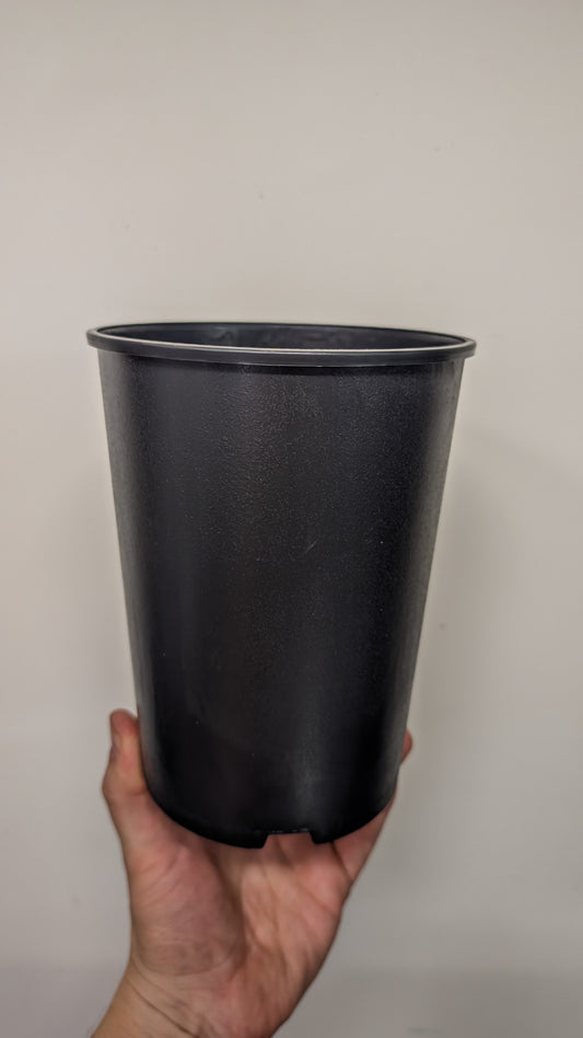 Plant pot L - Black