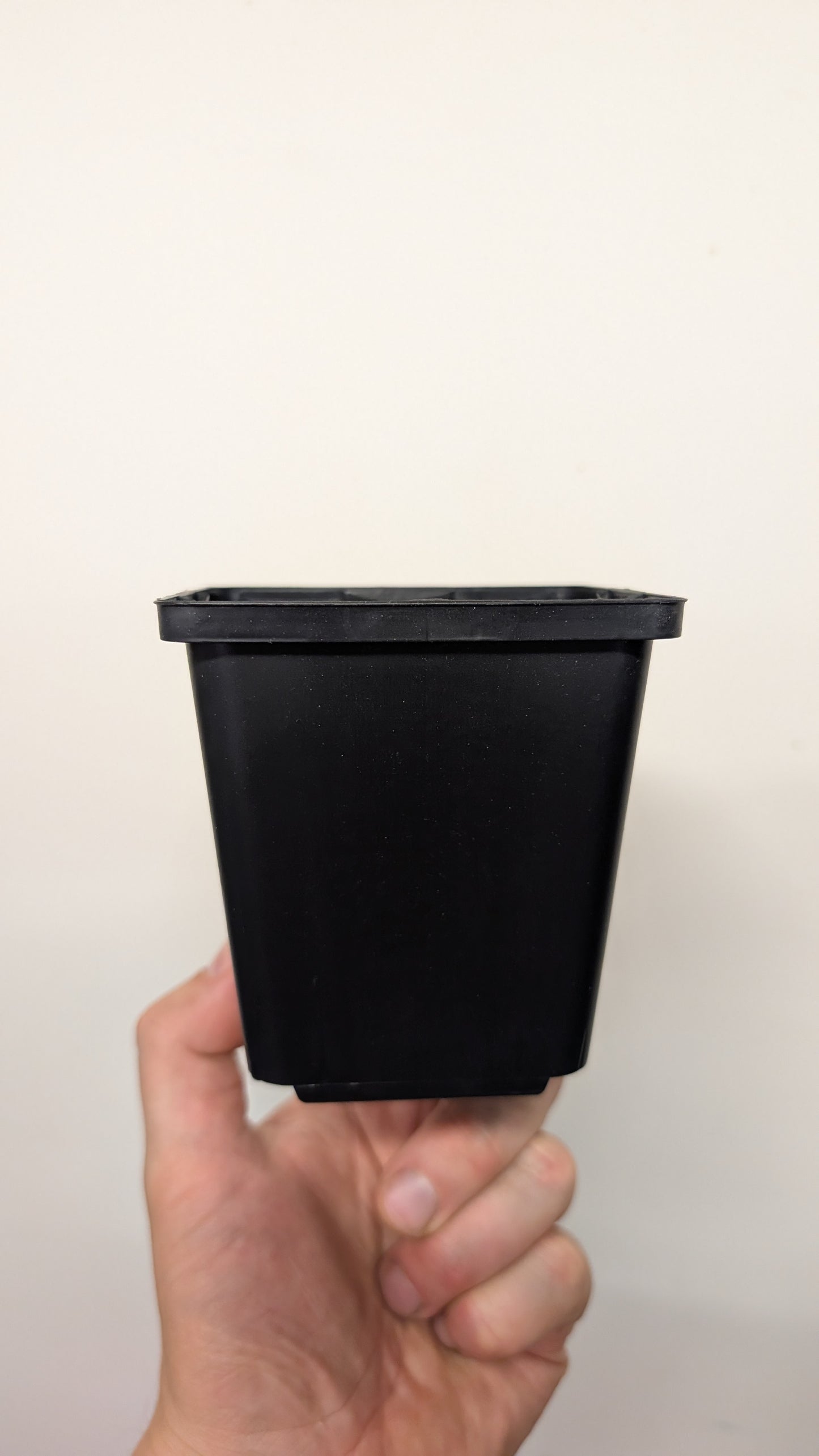 Plant pot M - Black