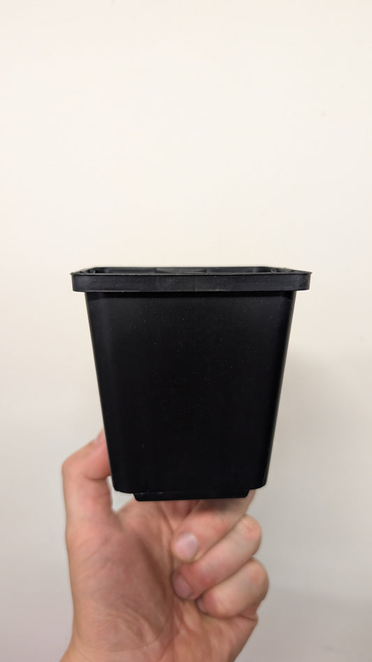 Plant pot M - Black