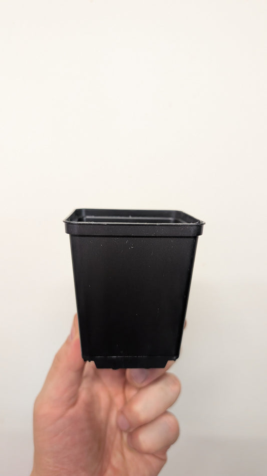 Plant pot S - black